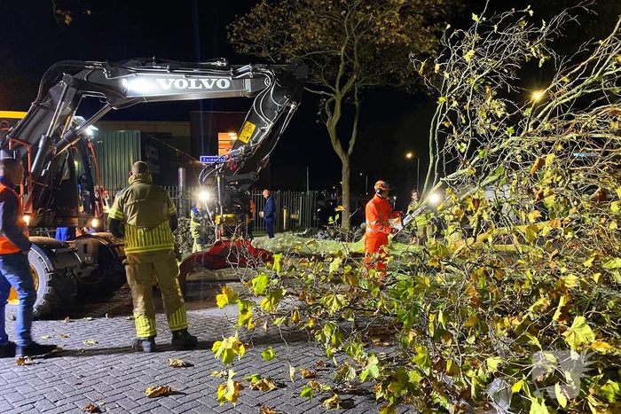 Boom dreigt om te vallen na wateroverlast en zorgt voor gevaar wegens gasleiding