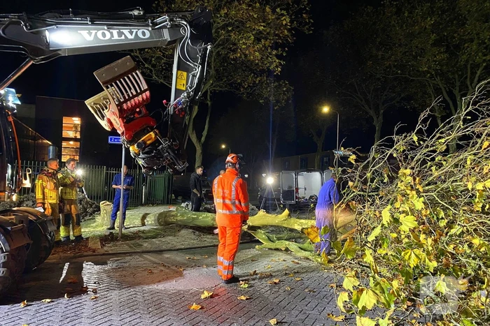 Boom dreigt om te vallen na wateroverlast en zorgt voor gevaar wegens gasleiding