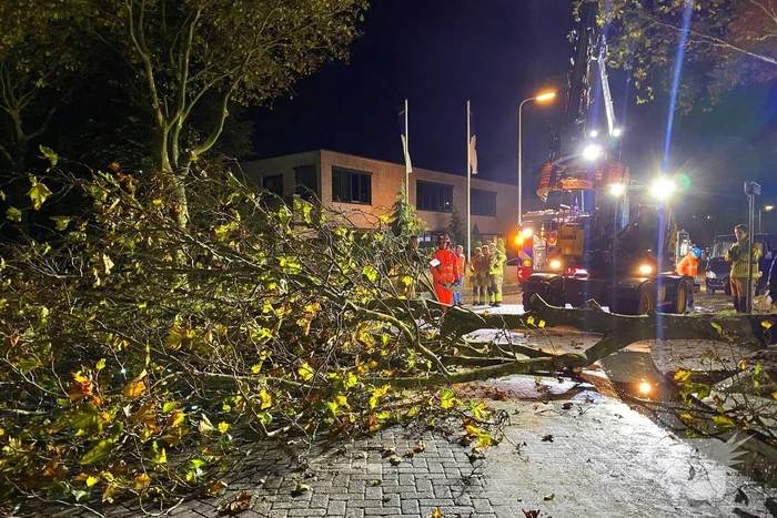 Boom dreigt om te vallen na wateroverlast en zorgt voor gevaar wegens gasleiding