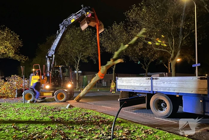 Boom dreigt om te vallen na wateroverlast en zorgt voor gevaar wegens gasleiding