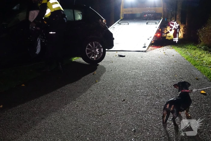 Auto zwaar beschadigd na botsing tegen boom