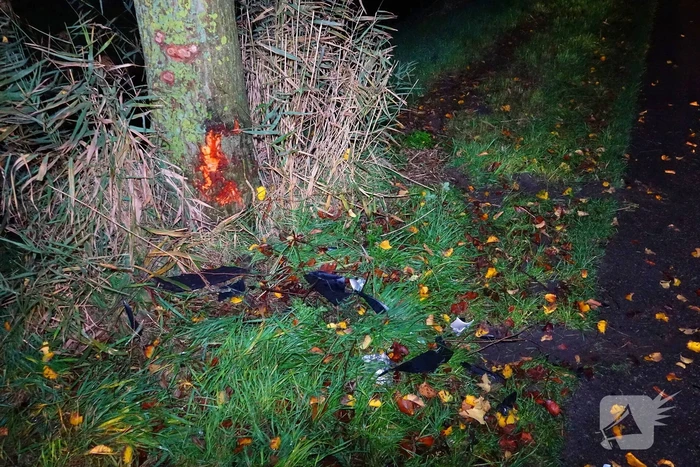 Auto zwaar beschadigd na botsing tegen boom