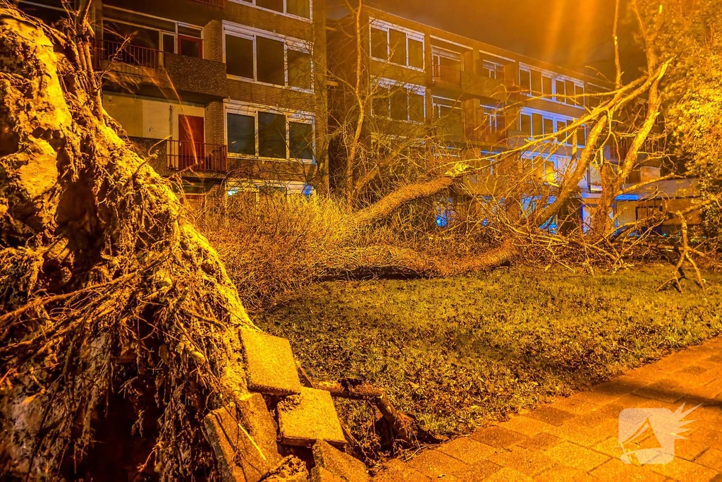 Drs. F. Bijlweg 112 nieuws Den Helder 