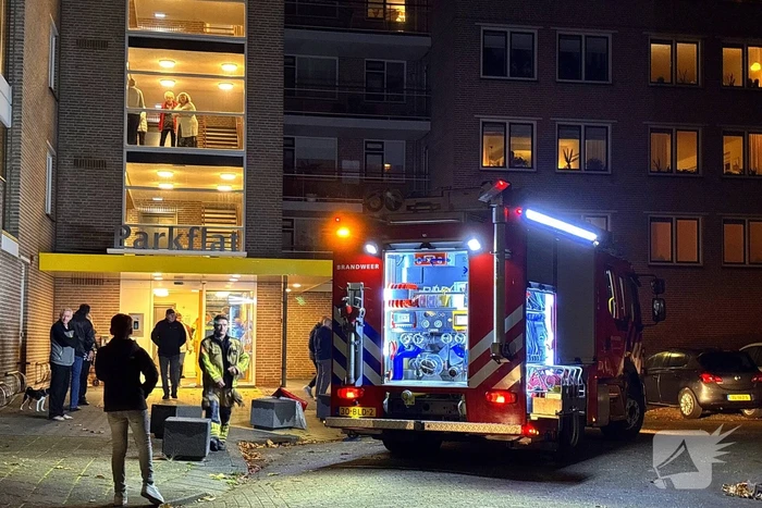 brand ubbemastins leeuwarden