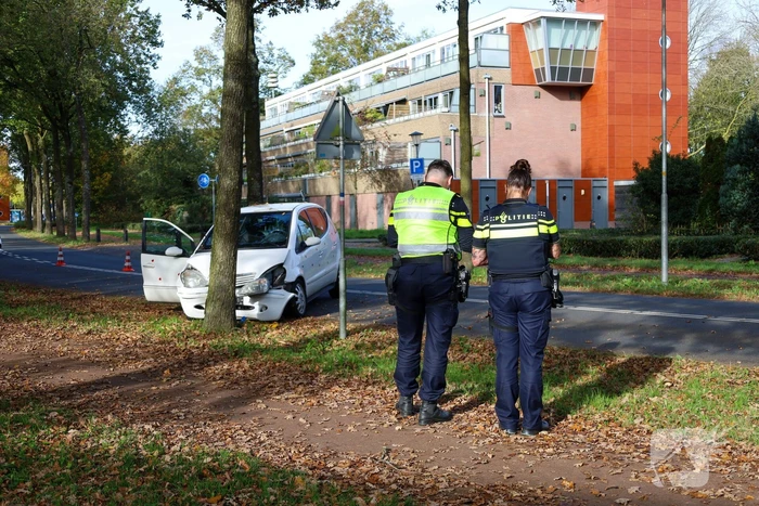 Automobiliste botst tegen boom