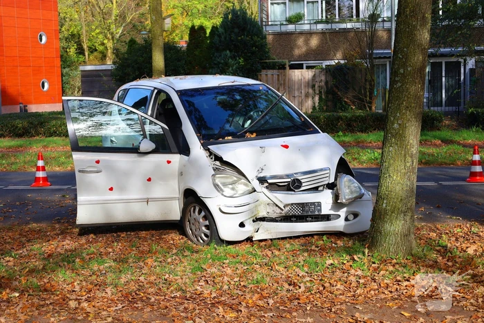 Automobiliste botst tegen boom