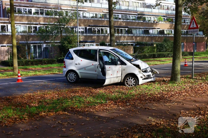Automobiliste botst tegen boom