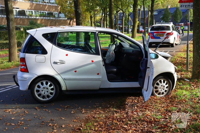 Automobiliste botst tegen boom