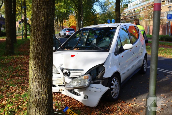 Automobiliste botst tegen boom