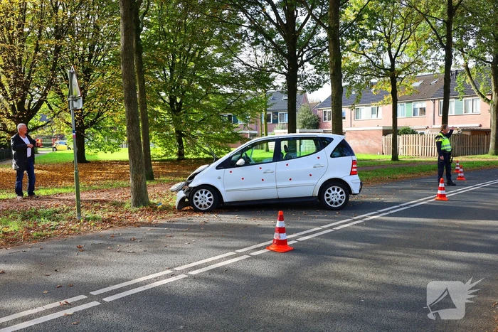 Automobiliste botst tegen boom