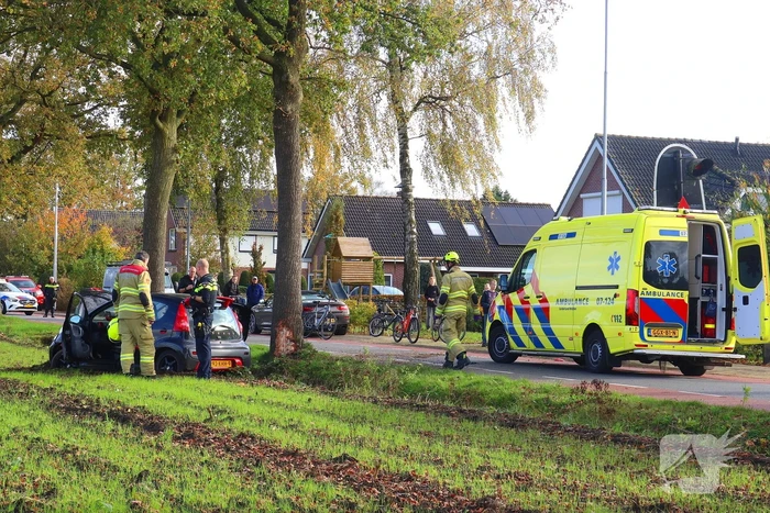 Automobilist klapt op boom en belandt in weiland