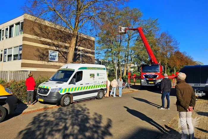nieuws koelhorst ede