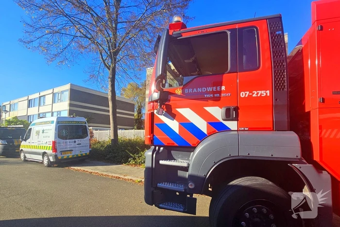 Poes Silvi door brandweer en dierenambulance gered uit boom