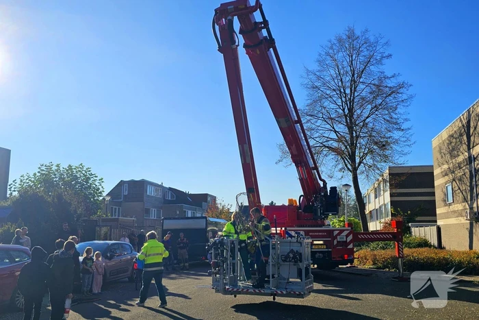 Poes Silvi door brandweer en dierenambulance gered uit boom