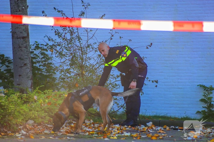 Twee verdachten aangehouden bij steekpartij