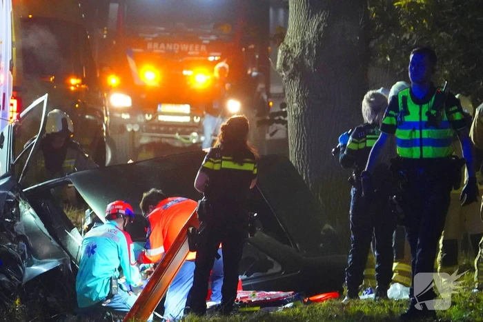 Auto botst tegen boom en belandt in greppel, 62-jarige bestuurder overleden
