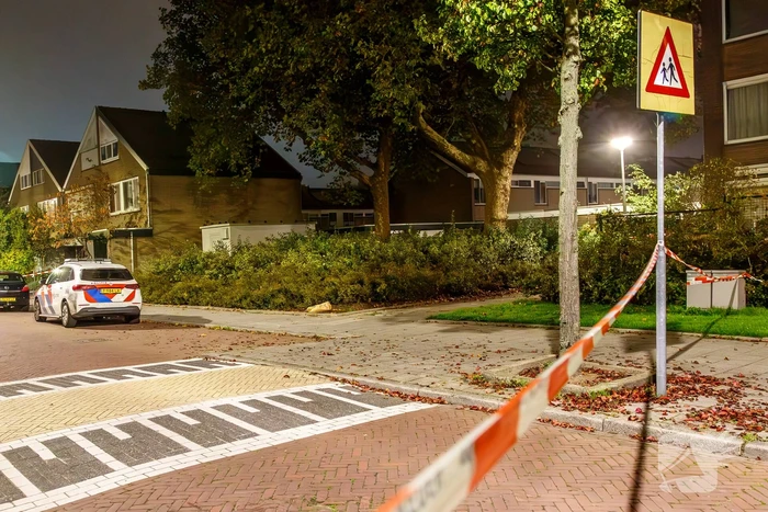 steekincident nachtegaallaan rozenburg