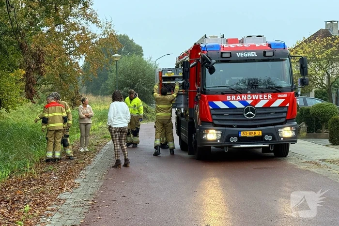 Scootmobiel raakt van de weg belandt in sloot