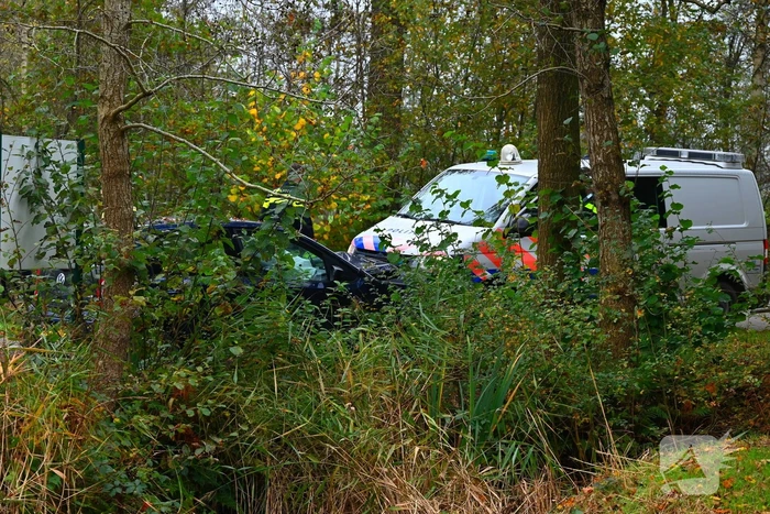 Automobilist botst frontaal op boom