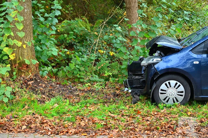 Automobilist botst frontaal op boom