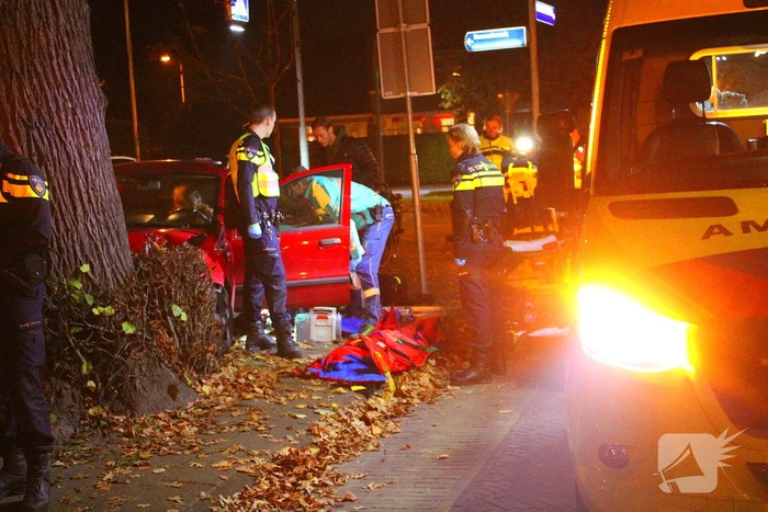 Automobiliste raakt van weg, knalt tegen boom en raakt gewond