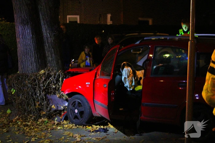 Automobiliste raakt van weg, knalt tegen boom en raakt gewond