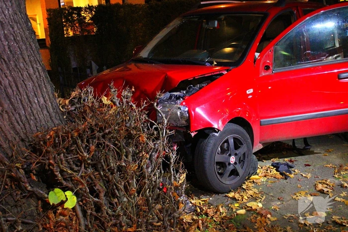 Automobiliste raakt van weg, knalt tegen boom en raakt gewond