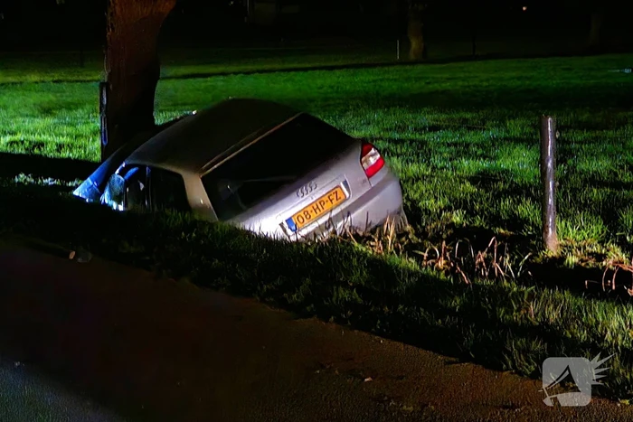 Automobilist raakt van weg en knalt tegen boom