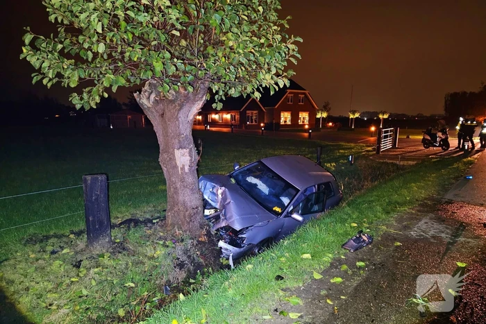 Automobilist raakt van weg en knalt tegen boom