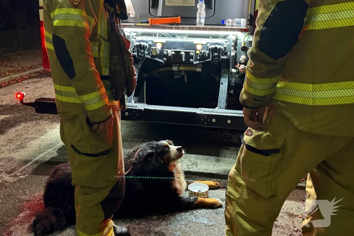 Bewoner gered uit woning na brand; hond opgevangen door dierenambulance