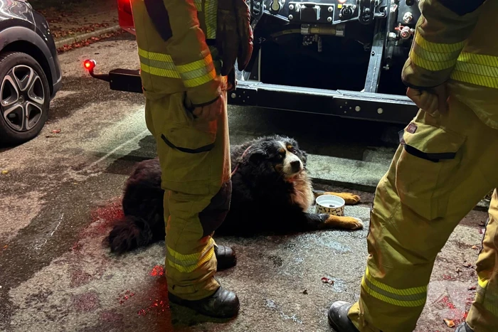 Bewoner gered uit woning na brand; hond opgevangen door dierenambulance