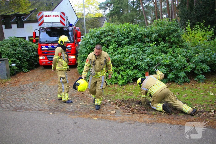 Brandweer ingezet voor brand in schoorsteen
