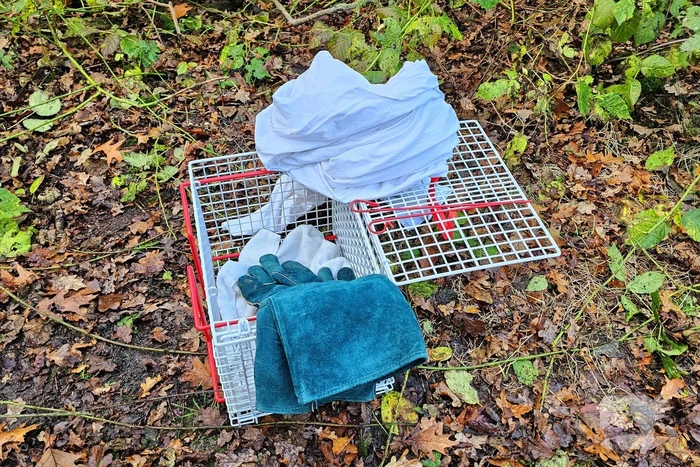 Hulpdiensten druk voor kat in boom