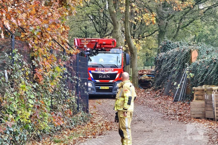 Hulpdiensten druk voor kat in boom