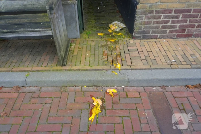 Kick Out Zwarte Piet protesteert bij sinterklaas intocht