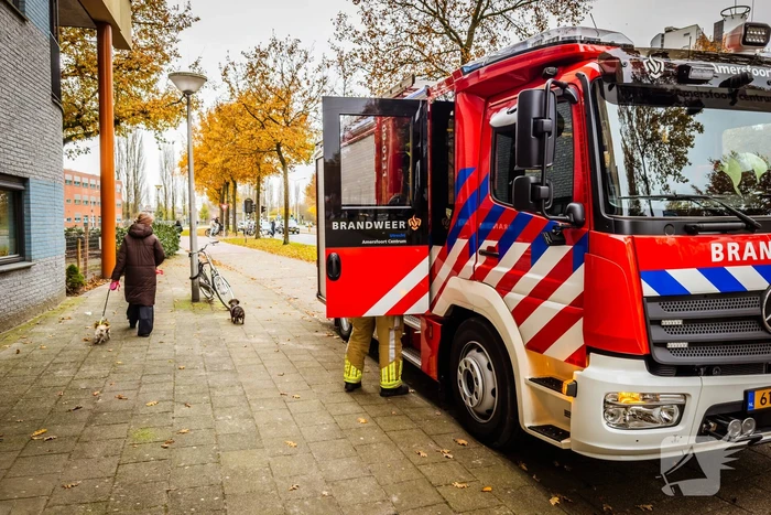 Pand ontruimd door brand in koelkast