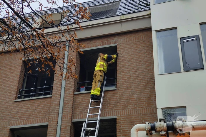 Brandweer redt duif die vast zit op balkon