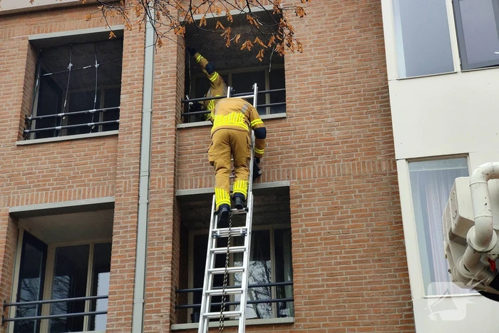 Brandweer redt duif die vast zit op balkon