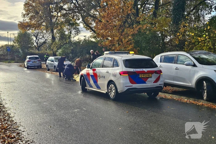 Fietser gewond bij aanrijding met personenwagen
