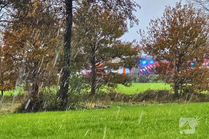 Twee koeien overleden bij brand in stal