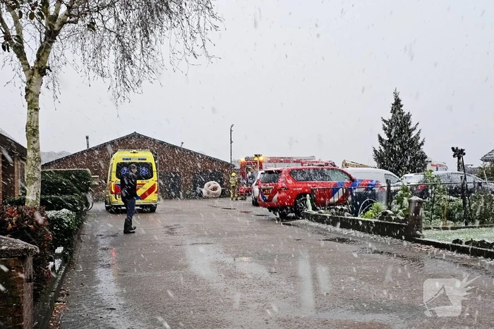 Twee koeien overleden bij brand in stal
