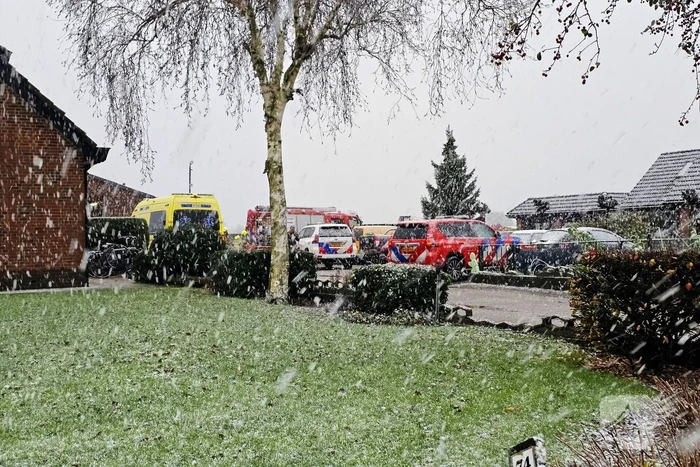 Twee koeien overleden bij brand in stal