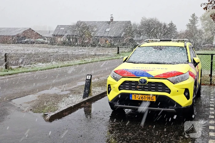 Twee koeien overleden bij brand in stal