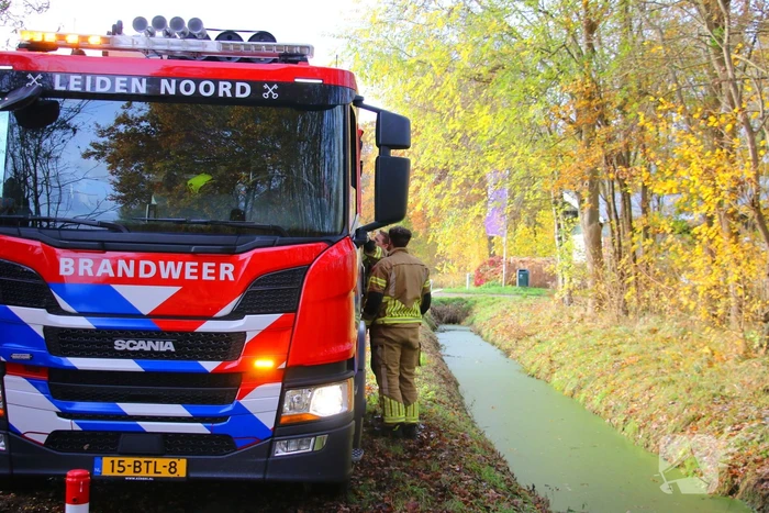 Persoon met onbegrepen gedrag sticht brand