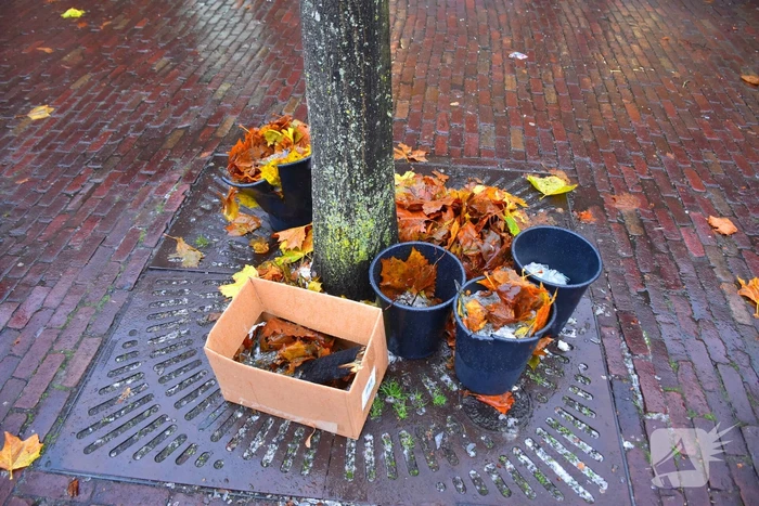 Vuurwerk ontploft in appartement