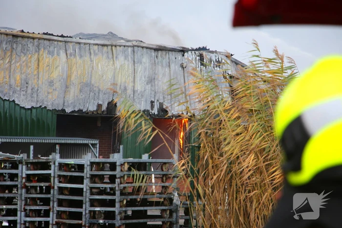 Brandweer groots ingezet voor uitslaande brand in kwekerij