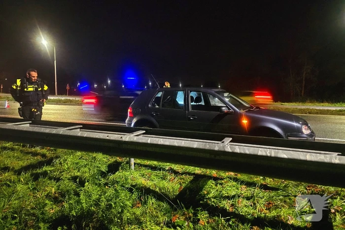 Wolf doodgereden op provinciale weg