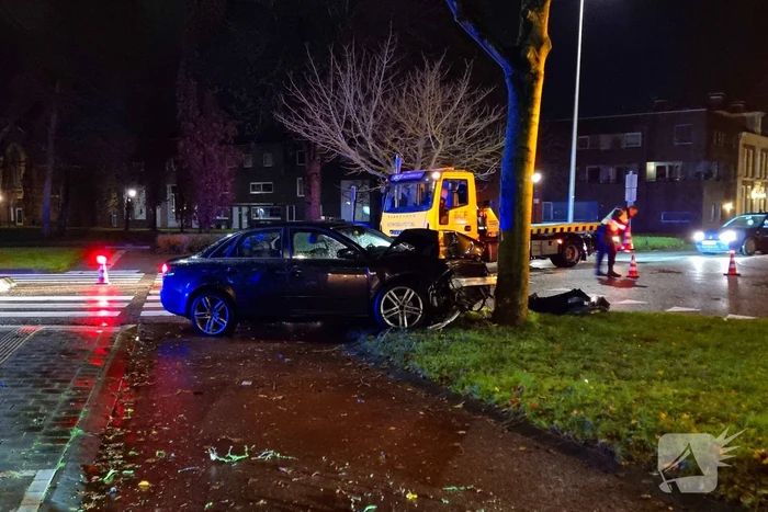 Automobilist eindigt tegen boom