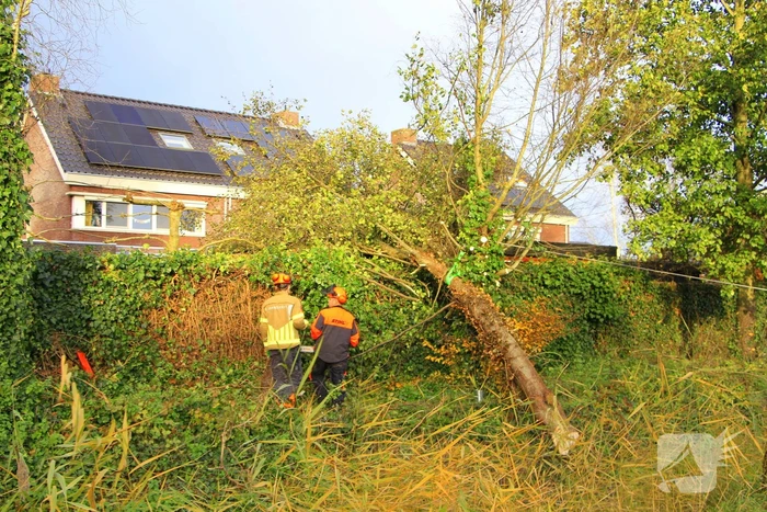 natuur leukerschansstraat weert