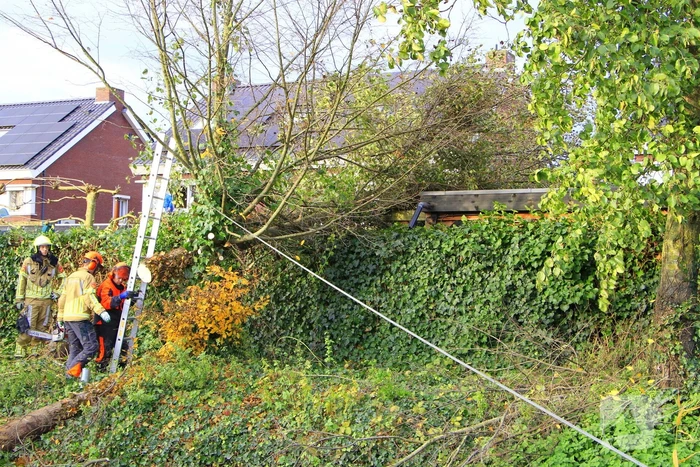 Omtrekken boom gaat verkeerd en valt op pergola